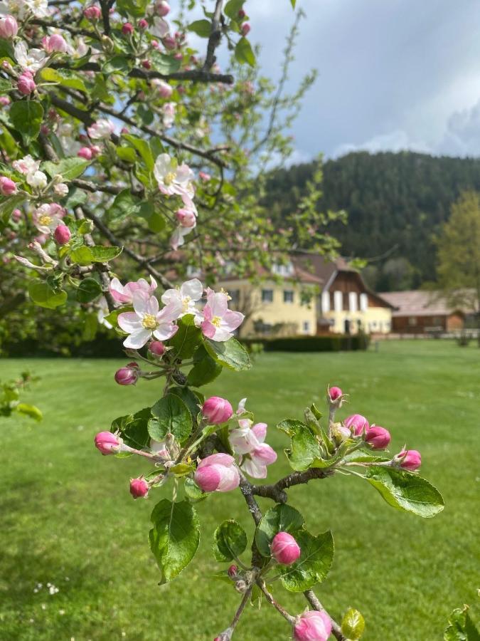 Hotel Dienstl Gut Launsdorf Luaran gambar